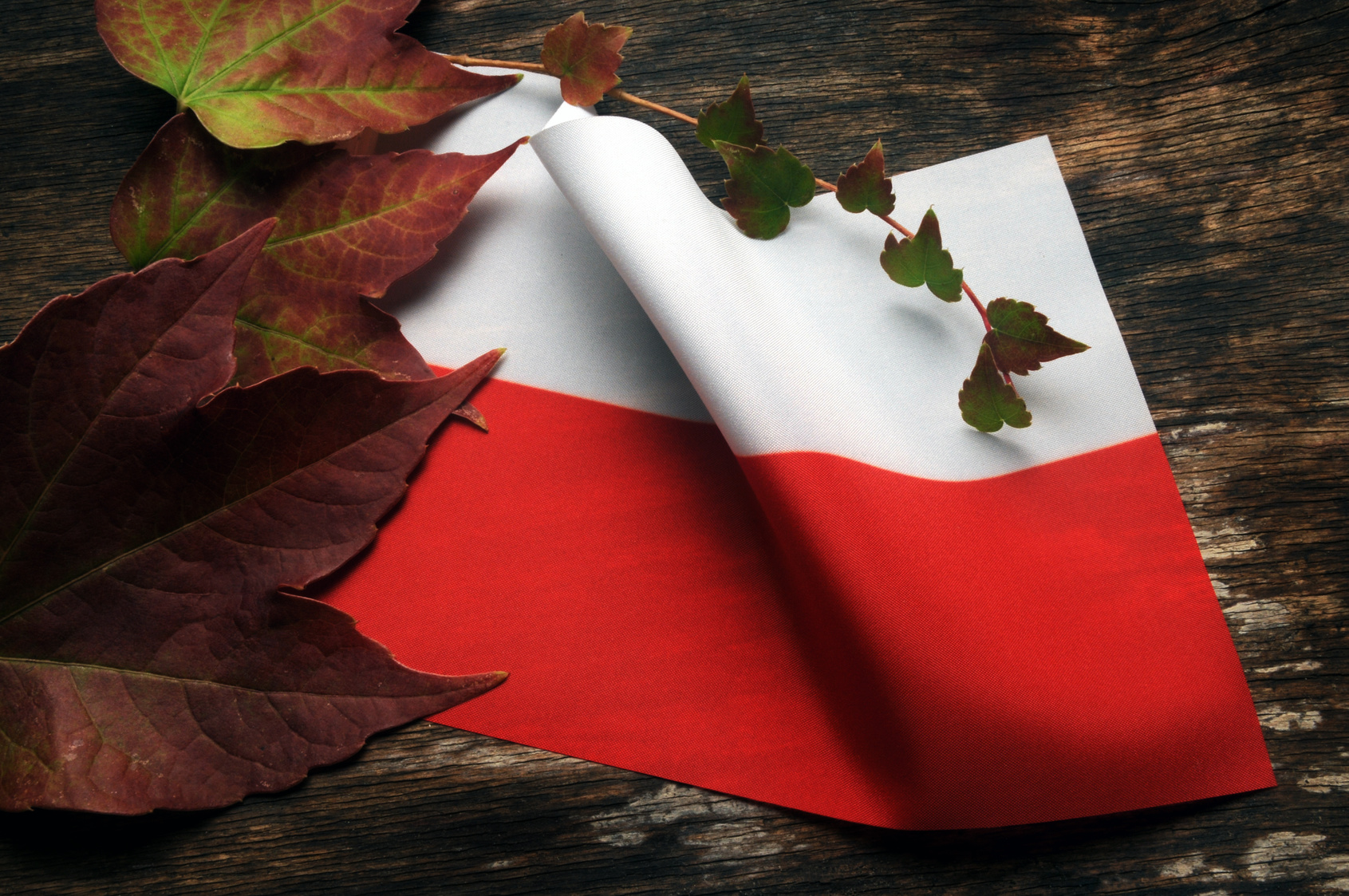Polonia: Pil ed inflazione
